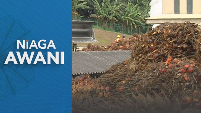 Niaga AWANI: Prospek harga minyak sawit kekal optimis pada 2024