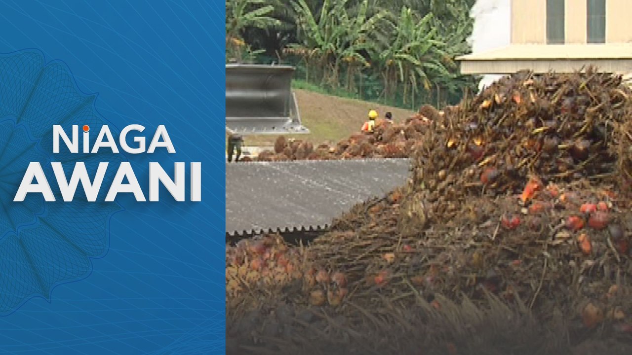 Niaga AWANI: Prospek harga minyak sawit kekal optimis pada 2024