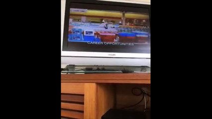 VHS and DVD Lover Est. 2001 AVGCP's City Slickers opening videos but I combined them