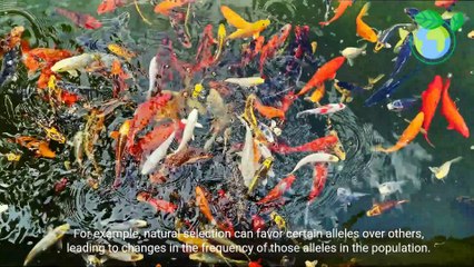 @ Evolution and Population Genetics_ Exploring the Interconnection