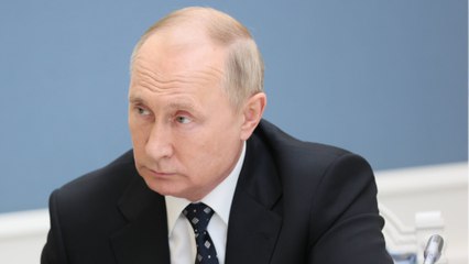 Putins neuester Auftritt befeuert Doppelgänger-Theorie: "Experte in Sachen Gurkenfühlung"