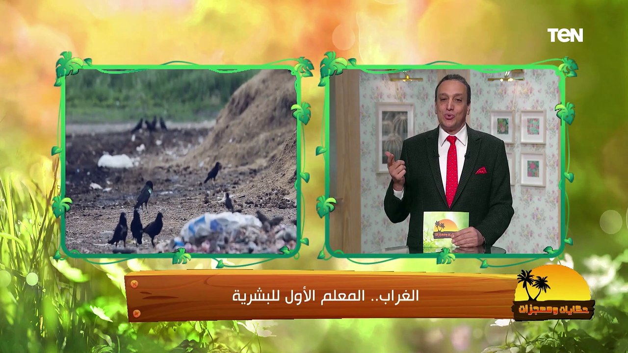 "حكايته غريبة وليه أسرار كتيرة والمعظم بيعتقد أنه شؤم".. كل ما تريد معرفته عن طائر الغراب