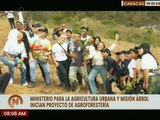 Caracas | Minppau y la Misión Árbol impulsan proyecto de agroforestería en la pqa. Caricuao