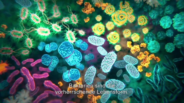 Unser Mikrobiom - Das unsichtbare Aussterben