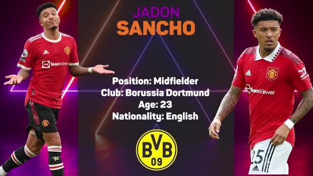 Opta Profile - Jadon Sancho