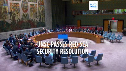 UN Security Council adopts maritime resolution condemning Houthi attacks in Red Sea