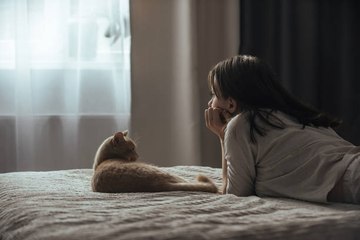 Combate La Tristeza Invernal: Alimentos Ricos En Vitamina D, Magnesio Y Triptófano