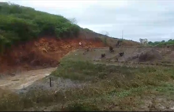 Açude da zona rural de Conceição no Vale do Piancó não resiste e rompe após fortes chuvas na região