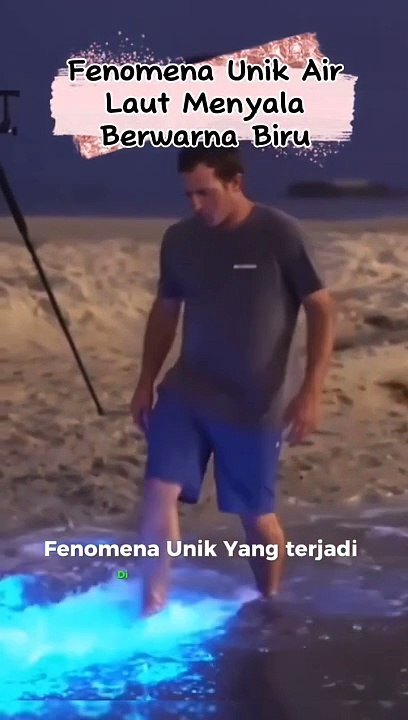Fenomena Unik Air Laut Menyala Berwarna Biru