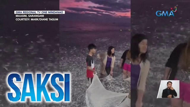 Sangkaterbang isdang tamban, sumulpot sa pribadong pantalan sa Davao City | Saksi