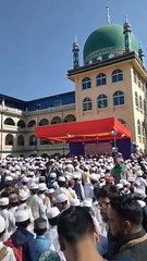 বই বিতরণ উৎসব 2024 জামেয়া আহমাদিয়া সুন্নীয়া আলিয়া মাদরাসা চট্টগ্রাম।