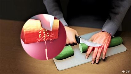Dolor: qué ocurre en el cuerpo