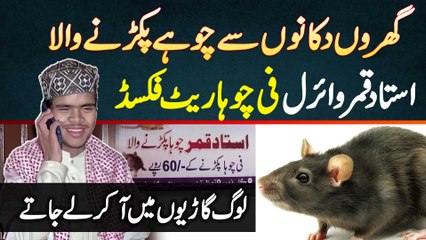 Gharon Aur Dukanon Se Chohe Pakarne Wala Ustad Qamar Viral - Log Gariyon Mein Aa Kar Le Jate Hain
