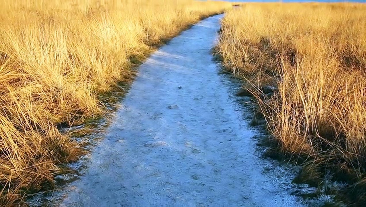 Islande Hvitserkur
