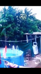 Mató al gato de su vecina de un disparo