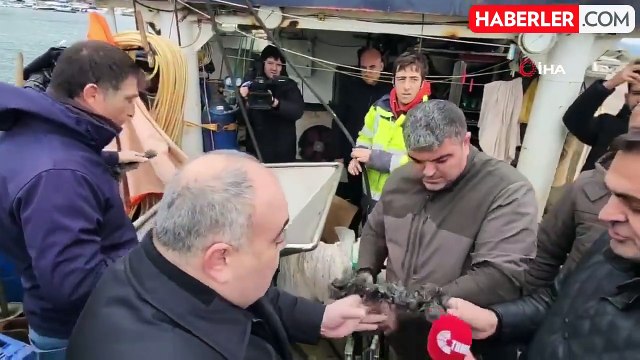 TBMM Balıkçılık ve Su Ürünleri Araştırma Komisyonu'ndan Yalova'da inceleme