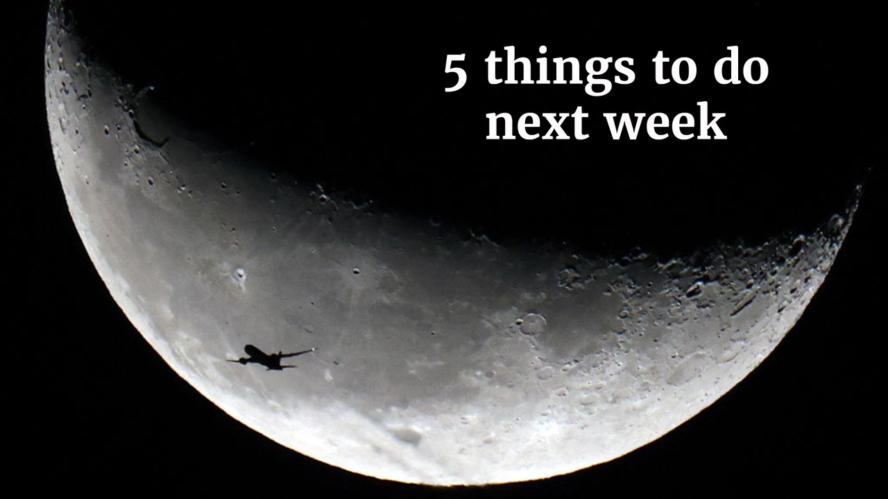 5 things to do next week (15-21 Jan 2024)