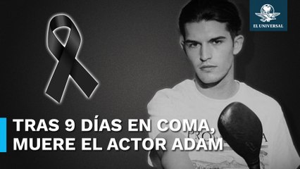 Fallece el Actor Italiano Adam Jendoubi tras 9 Días en Coma 🚗