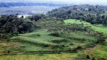 Des cités perdues d'Amazonie, datant de 2500 ans, découvertes sous la jungle