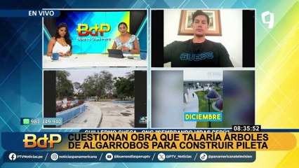 ¿Por qué sería tan dañino que talaran algarrobos para obra de "Parque de las Aguas" en Piura?