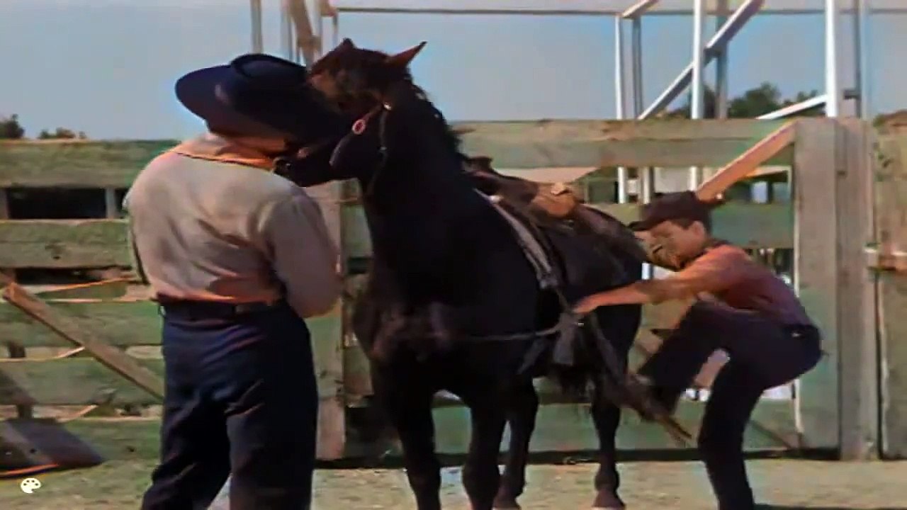 15 - Wyatt Earp 1955 Cap 15   O Filhinho do Papai (Colorizado e Legendado)