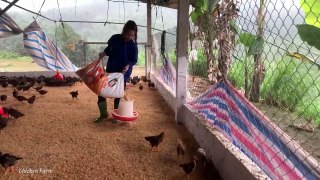 raising chickens, mowing grass for buffaloes, feeding fish, daily work