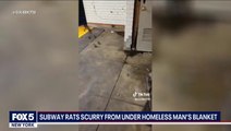 Dozens of rats scurry out of homeless person’s blanket in New York subway