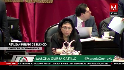 Cámara de Diputados guarda minuto de silencio por el empresario Carlos Bremer