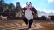 Tekken 8 panda trailer _ Tekken 8 story so far _ Tekken 8 kuma trailer