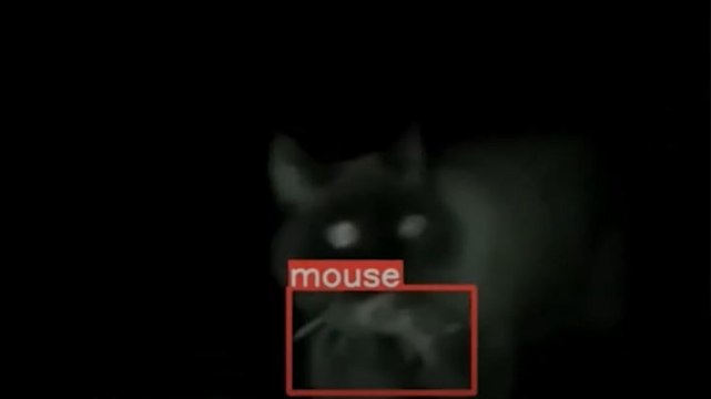 ‘World’s most intelligent cat flap’ uses AI to stop pets bringing in dead animals