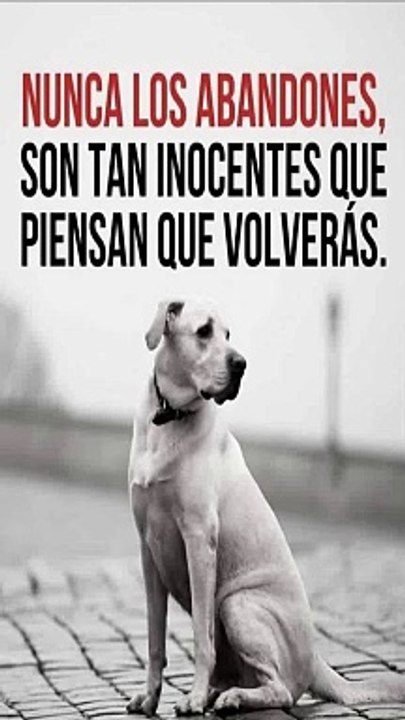 Promesas - rotas: La tristeza de aquellos que esperan tu regreso
