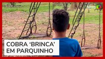 Cobra caninana é flagrada 'brincando' em parquinho no Mato Grosso do Sul