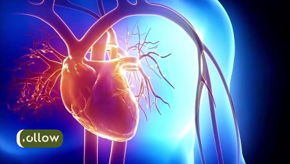 Heartbeat inside body basic visual