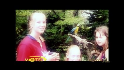 The Montel Williams Show - Could You Forgive