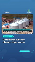 Garantizan subsidio al maíz, trigo y arroz