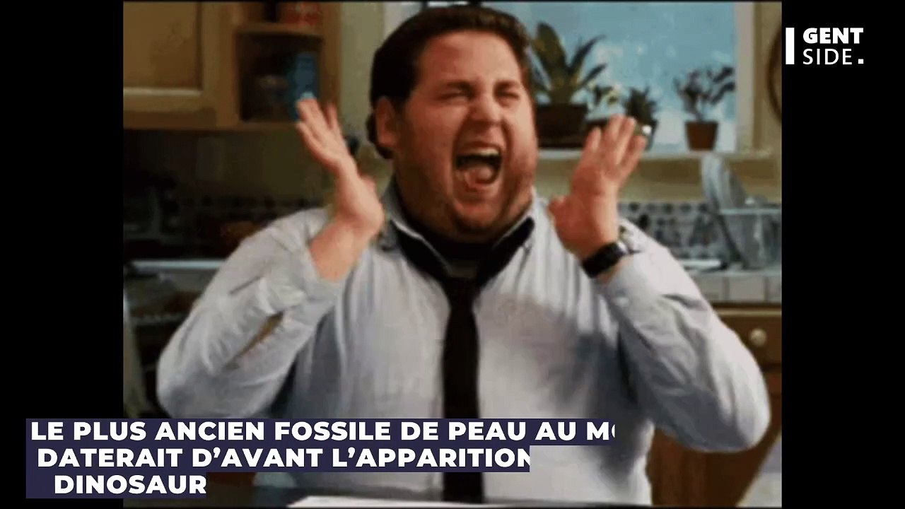 Le plus ancien fossile de peau au monde daterait d’avant l’apparition des dinosaures