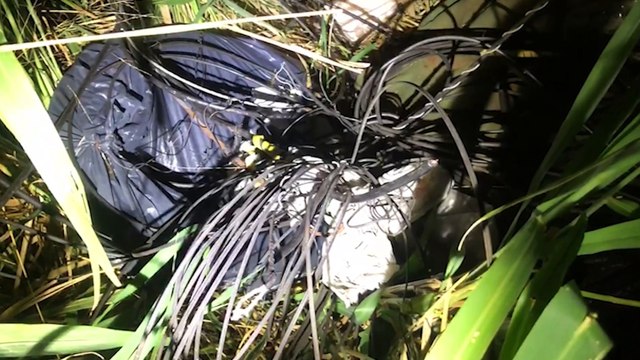 Fios são encontrados em lote baldio no Santa Cruz