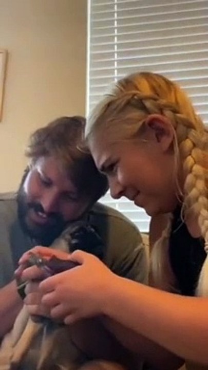 Giggles & Tails: The Laughing World of Animals! 