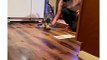 Funny cat dog animals compilation animal videos on Instagram Tiktok