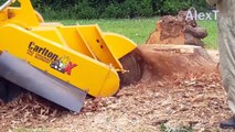 Incredible Big Tree Harvest Excavator Cutting Equipment, Fastest Stump Grinding Tree Removal Mac