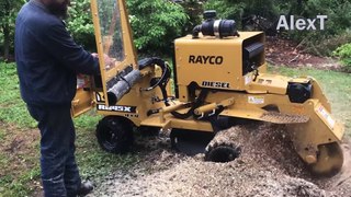 Incredible Dangerous Big Tree Cutting Skill Processing Wood Factory, Fastest Stump Grinding Mach