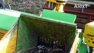 Incredible Huge Whole Tree Chipper Equipment in Action, Fastest Wood Shredder Stump Mulcher Mach