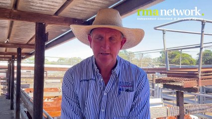 Hamilton all breeds heifers sale | January 12, 2023 | Stock & Land