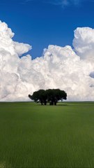 Amazing white Sky Nature Life