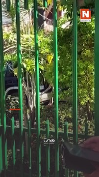 Estos serán tus beneficios y todo lo que tienes que saber