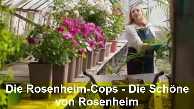 Die Rosenheim-Cops (546) Die Schöne von Rosenheim Staffel 23 Folge 15