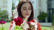 Pakistani Drama Sukoon Teaser | New Teaser full Episode 27 | Sukoon Episode 27 Promo Review by Nomi