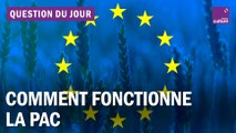 Comment fonctionne la politique agricole commune