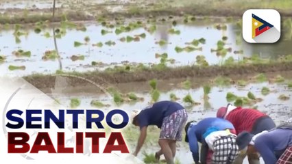 Mahigit 200 kooperatiba, natulungan ng Cooperative Development Authority sa nakaraang dalawang taon