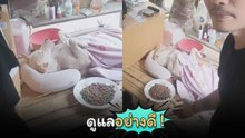 เมื่อเจ้าตูบป่วย งานนี้คุณพ่อดูแลอย่างดี !